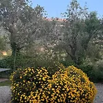 Farma Margherita *