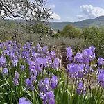 Farma Margherita Cortona