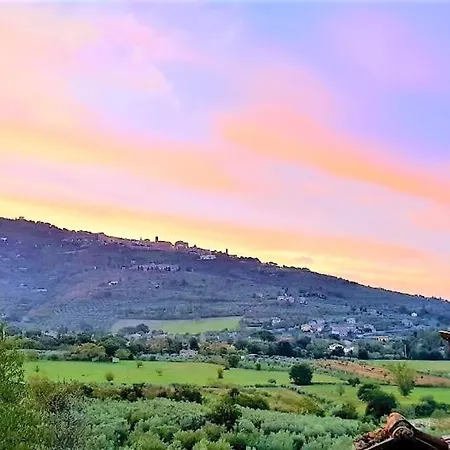 Margherita