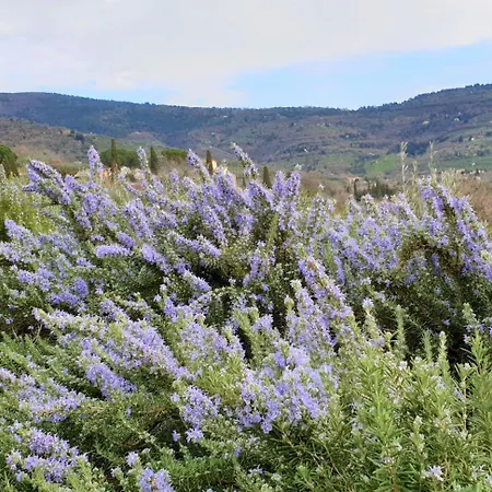 Margherita Фермерський будинок *