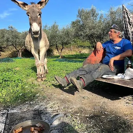 Margherita *