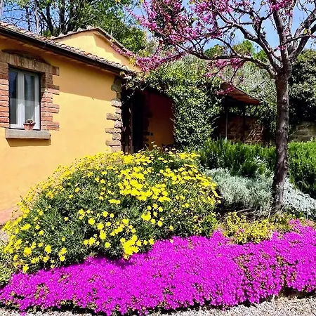 Farm stay Margherita Cortona