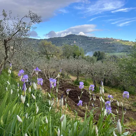 Farm stay Margherita