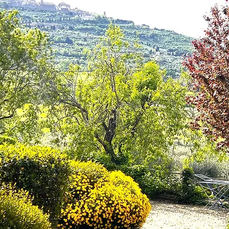 Margherita Farm stay *