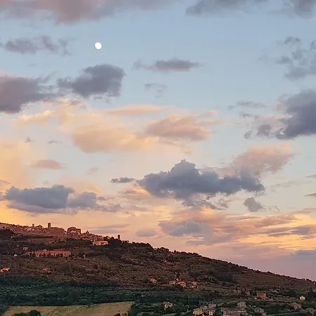 Margherita Кортона