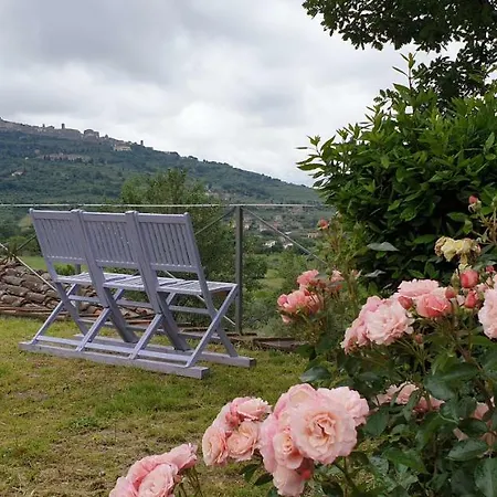 Lantgård Margherita Cortona