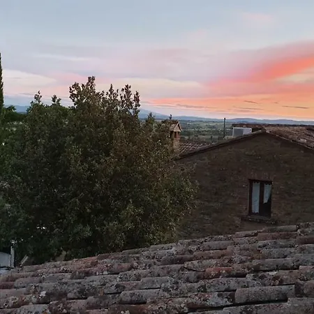 Margherita Cortona