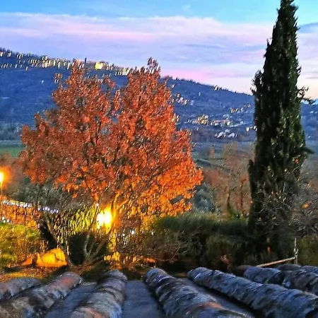 Margherita * Cortona