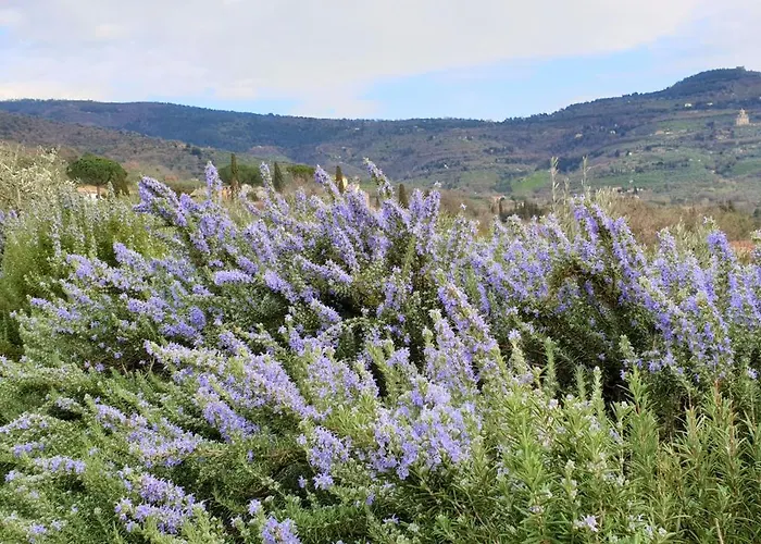 Margherita Alloggio per agriturismo *