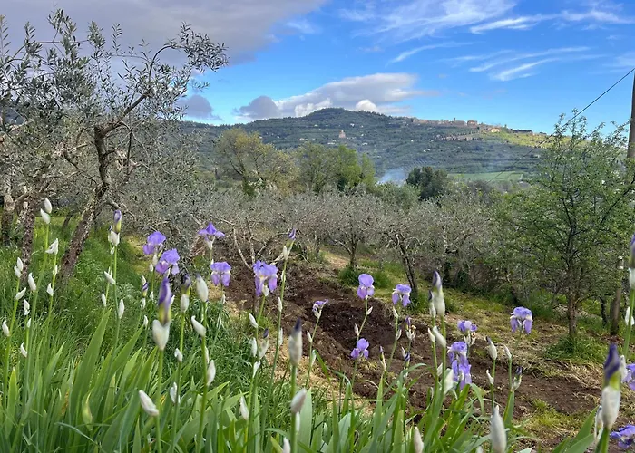 Alloggio per agriturismo Margherita