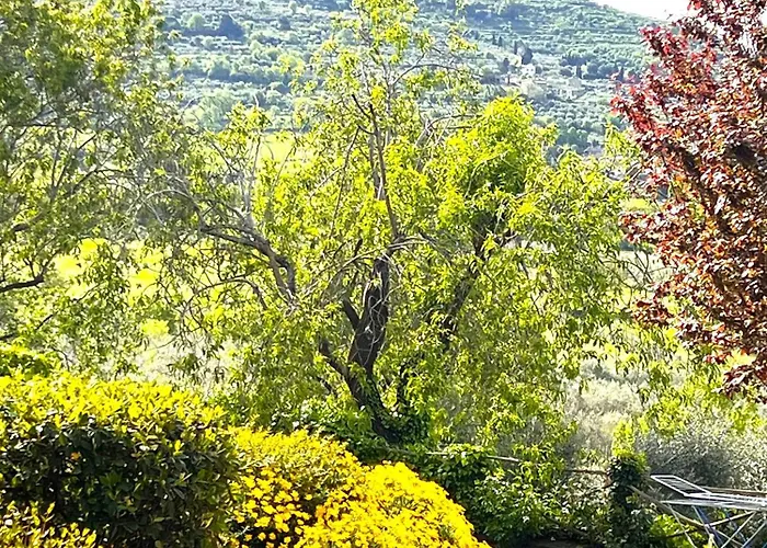 Margherita Alloggio per agriturismo *