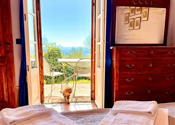 Margherita Alloggio per agriturismo Cortona